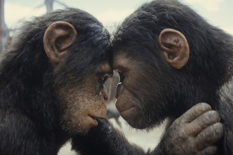 This image released by 20th Century Studios shows Soona, played by Lydia Peckham, left and Noa, played by Owen Teague, in a scene from "Kingdom of the Planet of the Apes." (20th Century Studios via AP)