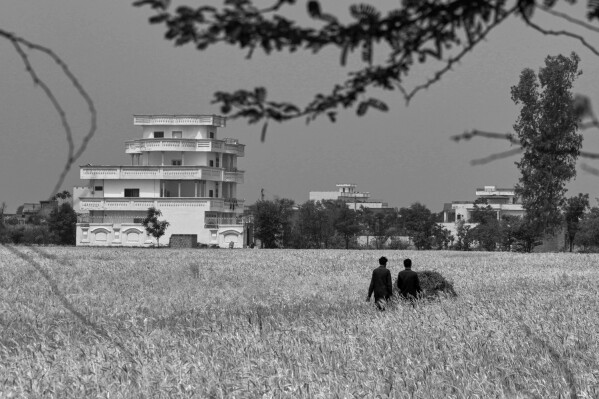 Villagers walk a loaded cart through a wheat field in Gajju, Pakistan, passing a house owned by a family that settled in Europe, April 16, 2025. (AP Photo/Anjum Naveed)