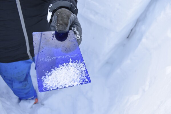 Ice crystals that indicate a weak layer in the snow are displayed by Doug Chabot, with the Gallatin National Forest Avalanche Center, in the area of Lulu Pass, Jan. 29, 2009, near Cooke City, Mont. Increased numbers of backcountry snowmobilers and skiers mean more chances to trigger an avalanche. (AP Photo/Matthew Brown)