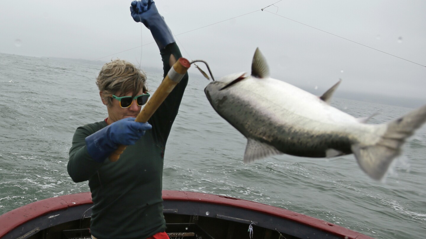 Salmon fishing is banned off the California coast for the second year in a row amid low stocks