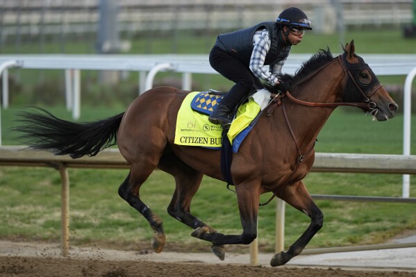 Kentucky Derby entrant Citizen Bull works out at Churchill Downs Monday, April 28, 2025, in Louisville, Ky. (AP Photo/Charlie Riedel)
