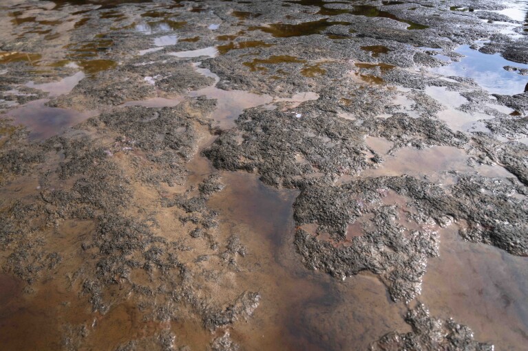 Polluted water can be seen in a river on the outskirts of Moanda, Democratic Republic of the Congo, Saturday, Dec. 23, 2023. (AP Photo/Mosa'ab Elshamy)