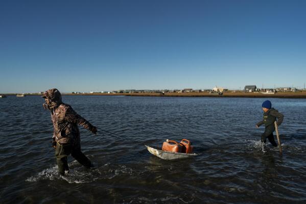 Pulling a sled with fuel containers in the lagoon, Joe Eningowuk, 62, left, and his 7-year-old grandson, Isaiah Kakoona, head toward their boat through the shallow water while getting ready for a two-day camping trip in Shishmaref, Alaska, Saturday, Oct. 1, 2022. Rising sea levels, flooding, increased erosion and loss of protective sea ice and land have led residents of this island community to vote twice to relocate. But more than six years after the last vote, Shishmaref remains in the same place because the relocation is too costly. (AP Photo/Jae C. Hong)