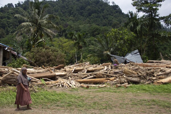 A woman walks near logs swept into a neighborhood affected by a flash flood in Pesisir Selatan, West Sumatra, Indonesia, Wednesday, March 13, 2024. In Indonesia, environmental groups continue to point to deforestation and environmental degradation worsening the effects of natural disasters such as floods, landslides, drought and forest fires. (AP Photo/Mavendra JR)