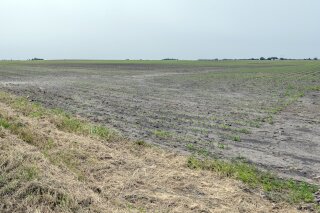 This June 3, 2019 photo shows a farm field southwest of Bondville, Ill., owned by Augusta Farms, a company based in Brazil. Foreign investors acquired at least 1.6 million acres of U.S. agricultural land in 2016, the largest increase in more than a decade by the latest available federal data. The data from the U.S. Department of Agriculture show that foreign investors control – either through direct ownership or long-term leases – at least 28.3 million acres, valued at $52.2 billion. That area is about the size of the state of Ohio. (Darrell Hoemann/The Midwest Center for Investigative Reporting via AP)