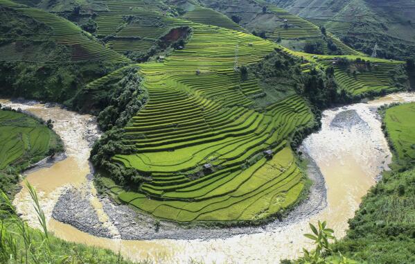 FILE - Rice terraces are seen in Mu Cang Chai district, Yen Bai province, Vietnam on Sept. 27, 2015. Greenhouse gas emissions from the way humans consume food could add nearly one degree of warming to the Earth’s climate by 2100, according to a new study Monday, March 6, 2023. Researchers found that the majority of greenhouse gas emissions come from three major food groups — meat from animals like cows, sheep and goats, dairy and rice. (AP Photo/Hau Dinh, File)