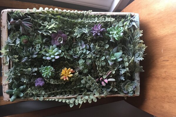Ashley Martin, a teacher and part time crafter in Green Township, N.J., created this display out of a scrounged wooden soda bottle crate and a collection of succulents. Martin says she's always loved doing arts and crafts projects, but she really became obsessed with cottagecore décor when she and her husband bought an 1850s farmhouse. Turning her ideas into custom art and signs became a side gig for her, and she's busy working on orders for the holidays now. I really enjoy working on something creative any time that I can. For me, it's an outlet." (Ashely Martin via AP)