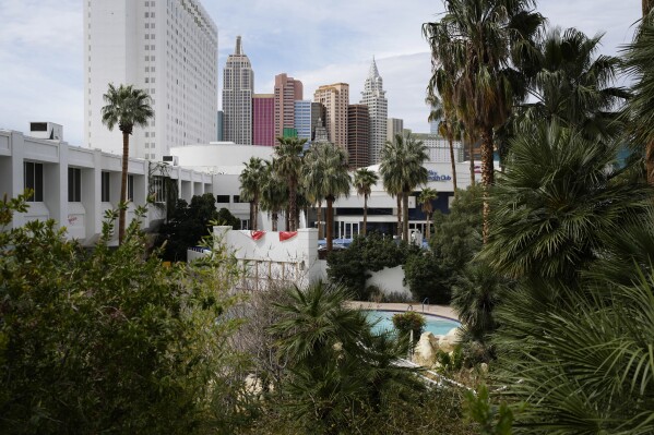 Plants grow around the shuttered pool area at the Tropicana hotel-casino Friday, March 29, 2024, in Las Vegas. (AP Photo/John Locher)