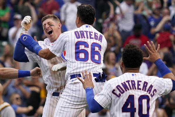 Willson Contreras, Frank Schwindel shine in Chicago Cubs win over