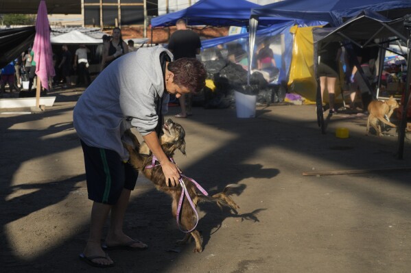 Een man en zijn hond herenigen zich in een opvangcentrum dat onderdak biedt aan honden die zijn geëvacueerd uit gebieden die zijn overstroomd door zware regenval, in Canoas, staat Rio Grande do Sul, Brazilië, donderdag 9 mei 2024. (AP Photo/Andre Penner)