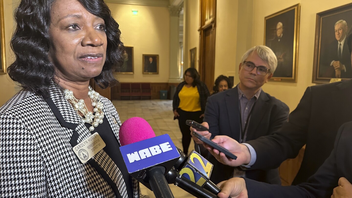 Georgia Democrats Elect New Leadership After Election