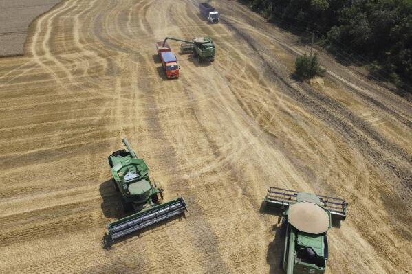 FILE - Farmers harvest with their combines in a wheat field near the village Tbilisskaya, Russia, July 21, 2021. China repeated calls for talks to resolve the crisis in Ukraine on Thursday, Feb. 24, 2022, while refusing to criticize Russia’s attack, and in a move that could help reduce the impact of Western sanctions against Moscow, approved imports of Russian wheat. (AP Photo/Vitaly Timkiv, File)