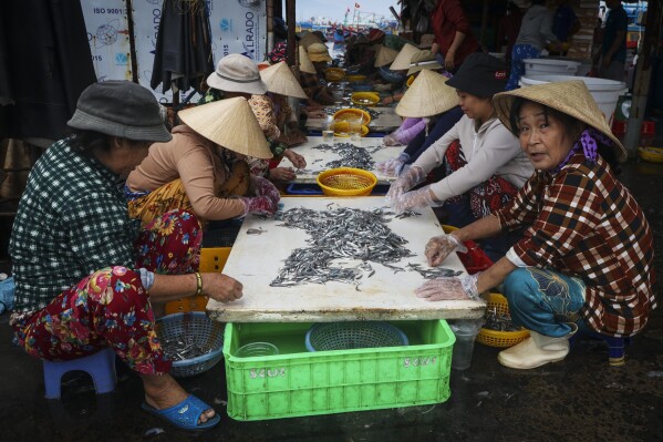 Women work in a fish market in in Nha Trang harbor, Vietnam, Oct. 26, 2024. (AP Photo/Yannick Peterhans)