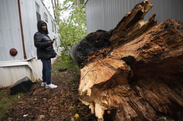 A person inspects a down tree at Shady Grove Mobile Home Park in Charlotte, N.C., Monday, Aug. 7, 2023. Thousands of U.S. flights have been canceled or delayed as forecasts warn of destructively strong storms, including tornadoes, hail and lightning. (Sean Mcinnis/The Charlotte Observer via AP)