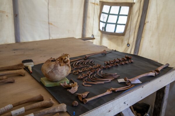 CORRECTS DAY OF WEEK TO SUNDAY -- A trove of ancient skulls and bones are on display that Egyptian archaeologist Zahi Hawass and his team unearthed in a vast necropolis, in Saqqara, south of Cairo, Egypt, Sunday, Jan. 17, 2021. (AP Photo/Nariman El-Mofty)