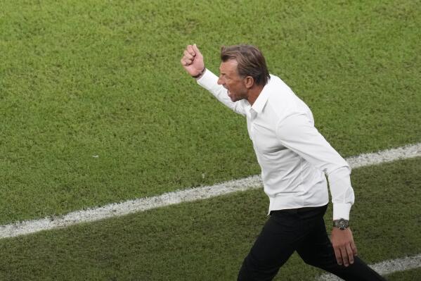 Herve Renard's 23 year, nine country coaching career includes English stint  and Saudi hope - Mirror Online