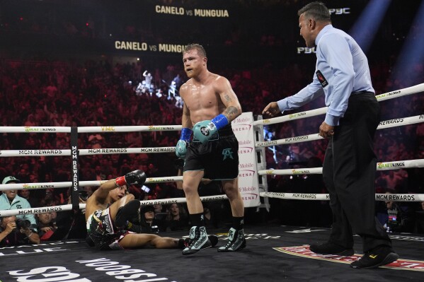 El mexicano Saúl "Canelo" Álvarez derriba a su compatriota Jaime Munguía en la pelea del sábado 4 de mayo de 2024, en Las Vegas (AP Foto/John Locher)