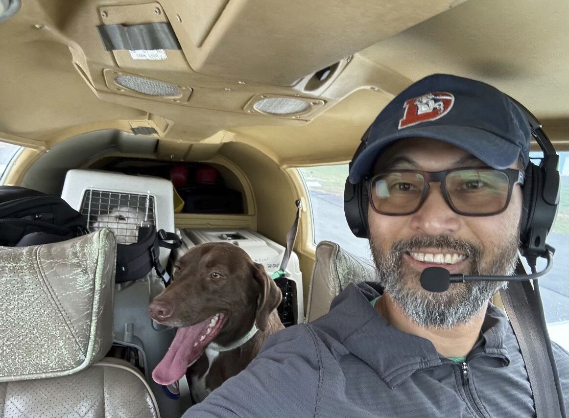 An animal-rescue pilot died in a crash. 2 dogs aboard are recovering
