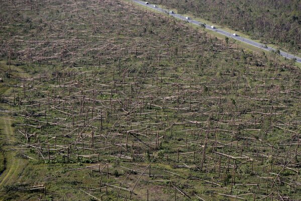 
              FILE - In this Oct. 12, 2018, file photo, downed trees are seen from the air on Tyndall Air Force Base in the aftermath of Hurricane Michael near Mexico Beach, Fla. It was once argued that the trees would help save Florida’s Panhandle from the fury of a hurricane, as the acres of forests in the region would provide a natural barrier to savage winds that accompany the deadly storms. It’s part of the reason that tighter building codes, mandatory in places such as South Florida, were not put in place for most of this region until just 11 years ago. (AP Photo/Gerald Herbert, File)
            