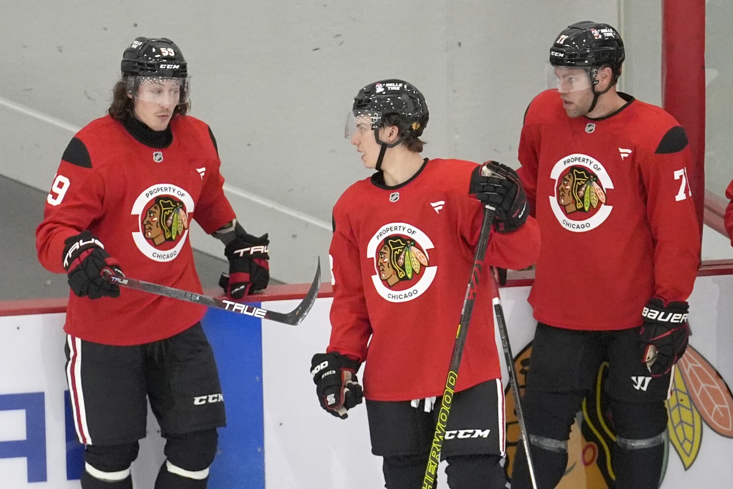 Tyler Bertuzzi looking to help the Chicago Blackhawks emerge from their  rebuild | AP News