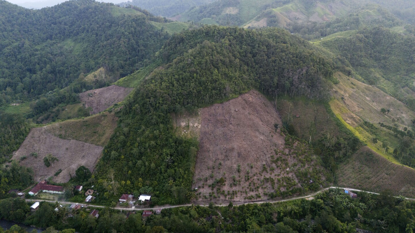 Обезлесяването в Индонезия се увеличи рязко миналата година, но анализаторът на ресурсите вижда по-добра обща тенденция