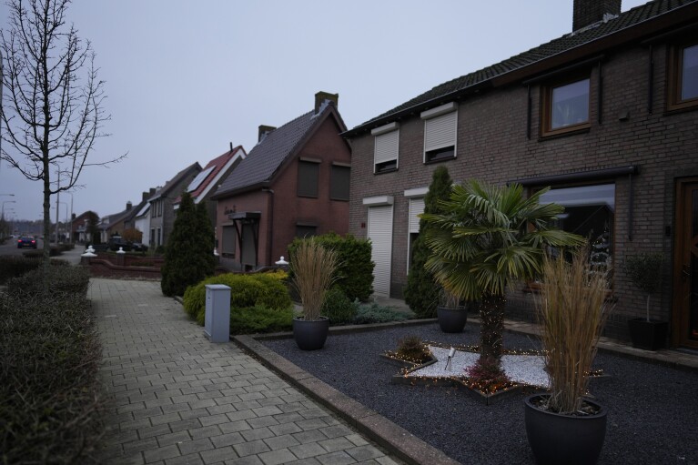 A palm tree is decorated with holiday lights in the village of Sint Willesbrord, Netherlands on Friday, Dec. 1, 2023. (AP Photo/Virginia Mayo)