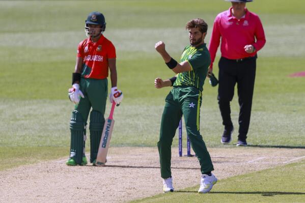 Pakistan's Shaheen Afridi celebrates after taking the wicket Bangladesh's Mosaddek Hossain during the T20 World Cup cricket match between Pakistan and Bangladesh in Adelaide, Australia, Sunday, Nov. 6, 2022. (AP Photo/James Elsby)