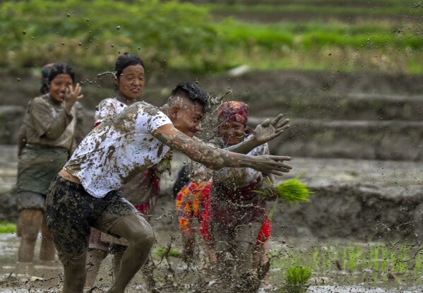 People play with mud in a paddy field during Asar Pandra, or paddy planting day at Bahunbesi, Nuwakot District, 30 miles North from Kathmandu, Nepal, Friday, June 30, 2023. Nepalese people celebrate the festival by planting paddy, playing in the mud, singing traditional songs, eating yogurt and beaten rice.(AP Photo/Niranjan Shrestha)