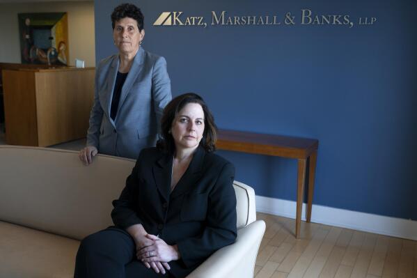 In this May 21, 2021, photo Washington based civil rights attorneys Debra Katz, left, and Lisa Banks, pose for a portrait at their law firm in Washington. For many people, the pandemic year has brought a pause of some kind, or at least a slowdown, to their professional endeavors. For Katz and Banks, the opposite has been true. “This is probably the biggest year we’ve ever had,” says Banks.  Their work has been increasing for nearly four years. When the Harvey Weinstein revelations erupted in October 2017,  launching the reckoning that became known as the #MeToo movement, it caused “a sea change," Katz says. (AP Photo/Jacquelyn Martin)