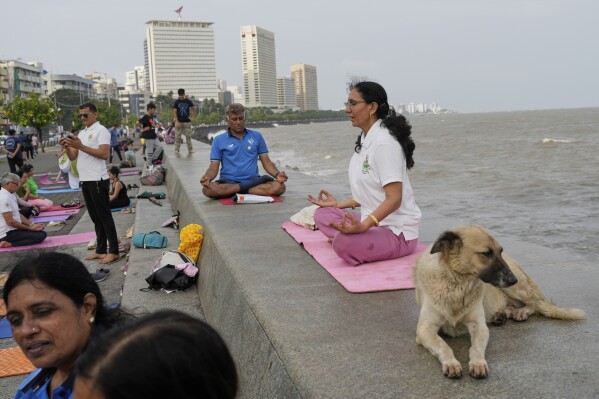 A dog rests as people perform yoga on International Yoga Day at Marine drive in Mumbai, India, Saturday, June 21, 2025. (AP Photo/Rajanish Kakade)