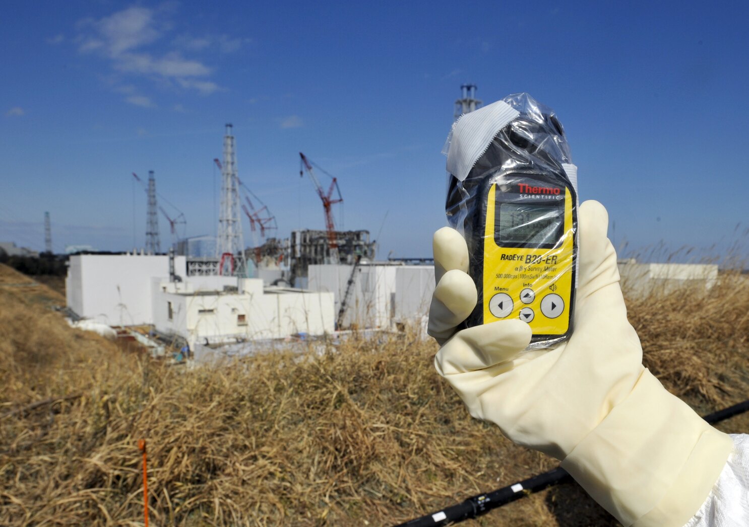 Slightly radioactive soil from Fukushima will be used in the prime minister's flower beds