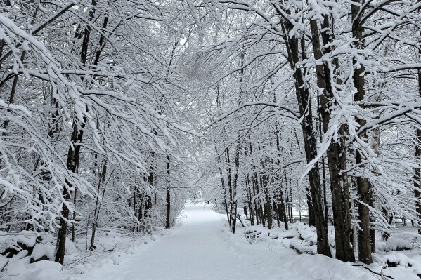 Snow falls on a back road in Marshfield, Vt., Monday, Dec. 11, 2023. (AP Photo/Lisa Rathke)