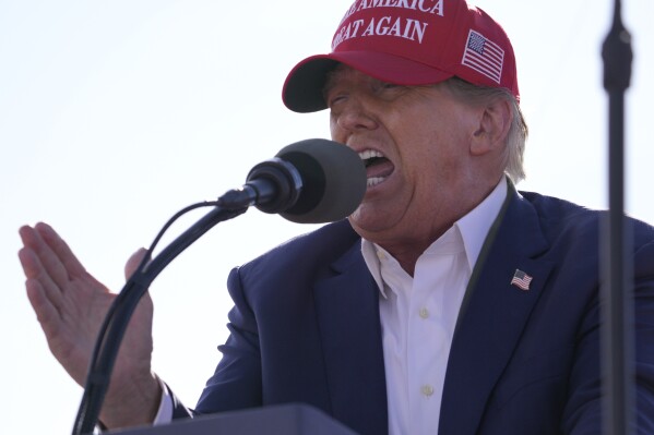 FILE - Republican presidential candidate former President Donald Trump speaks at a campaign rally March 16, 2024, in Vandalia, Ohio. Trump's anti-immigrant rhetoric appears to be making inroads even among some Democrats, a worrying sign for President Joe Biden. (AP Photo/Jeff Dean, File)