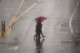 People cross the street with umbrellas in heavy rain in Los Angeles, Monday, Feb. 19, 2024. (APPhoto/Damian Dovarganes)