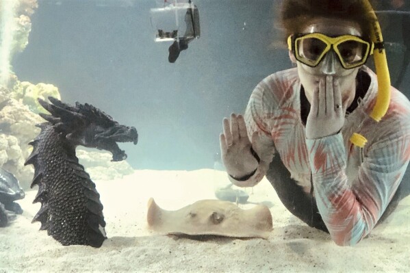 Kinsley Boyette, assistant director of the Aquarium and Shark Lab by Team ECCO, poses in this undated photo next to Charlotte, a round stingray, in Hendersonville, N.C. The aquarium said Tuesday, Feb. 13, 2024, that Charlotte is pregnant, even though she's lived at the aquarium for years without a male companion of her species. (Aquarium and Shark Lab by Team ECCO via AP)