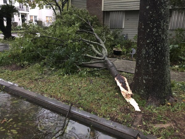 Part of a tree nearly hit a house in an Uptown neighborhood of New Orleans during Hurricane Zeta, Wednesday, Oct. 28, 2020. High winds from Zeta took down some trees, left branches strewn across the streets, and led to widespread power outages across the region. (AP Photo/Kevin McGill)