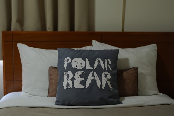 A pillow sits on a bed, Friday, Aug. 2, 2024, at the Polar Inn and Suites in Churchill, Manitoba. (AP Photo/Joshua A. Bickel)
