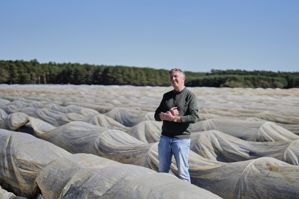 Juergen Jakobs, who runs the Jakobs-Hof asparagus farm, smiles as he poses for a photo in an asparagus field near Beelitz, Germany, Thursday, April 3, 2025. (AP Photo/Markus Schreiber)
