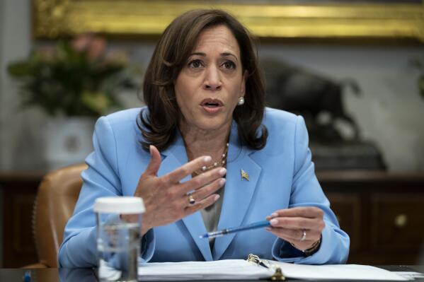 Vice President Kamala Harris speaks during a meeting with a task force on reproductive health care access, in the Roosevelt Room of the White House, Wednesday, April 12, 2023, in Washington. (AP Photo/Evan Vucci)