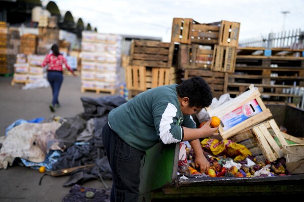 A youth picks through discarded produce at the central market for fruit and vegetables in Buenos Aires, Argentina, Friday, May 10, 2024. (AP Photo/Natacha Pisarenko)