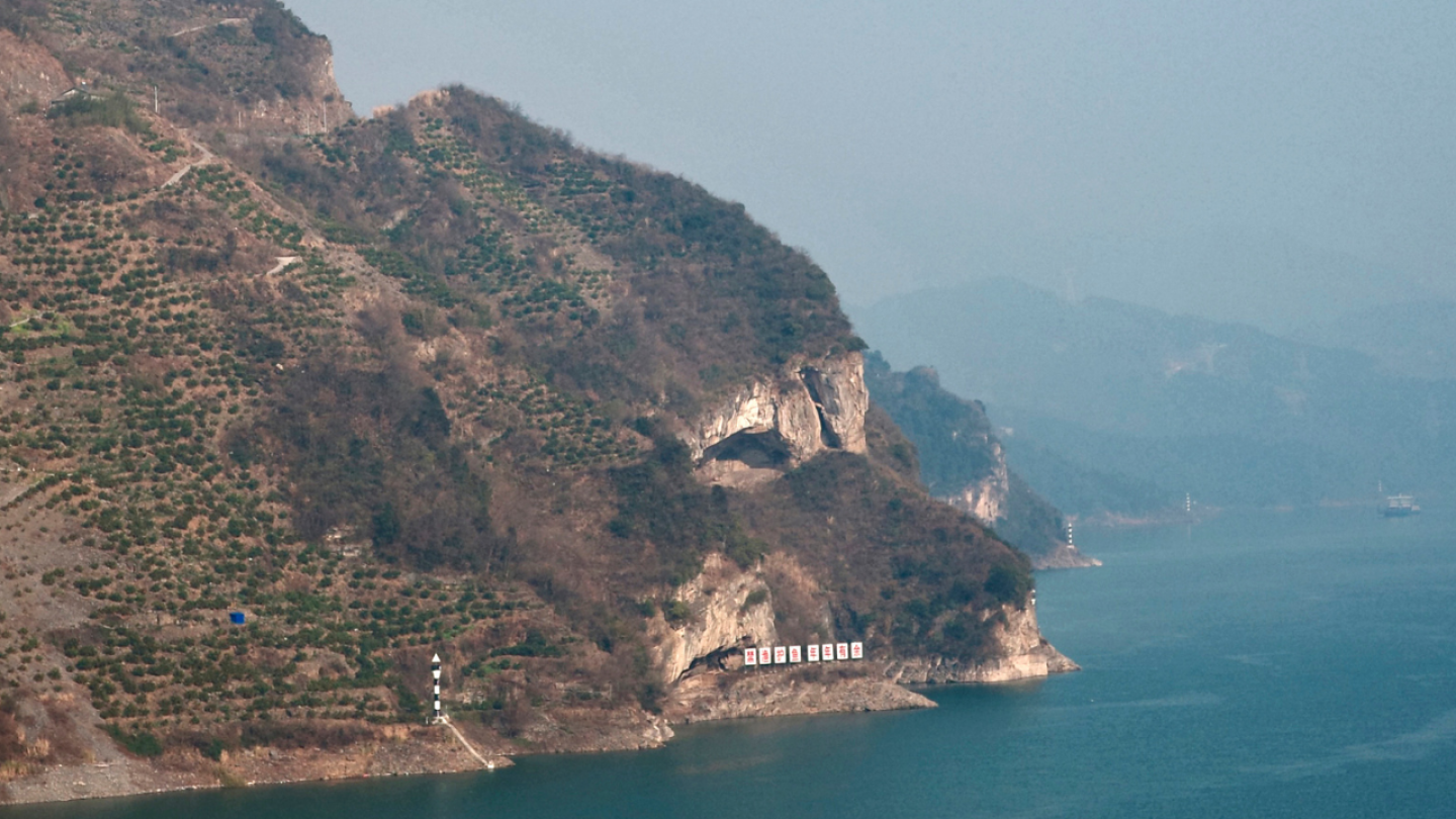 "Puppy mountain" goes viral in China | AP News
