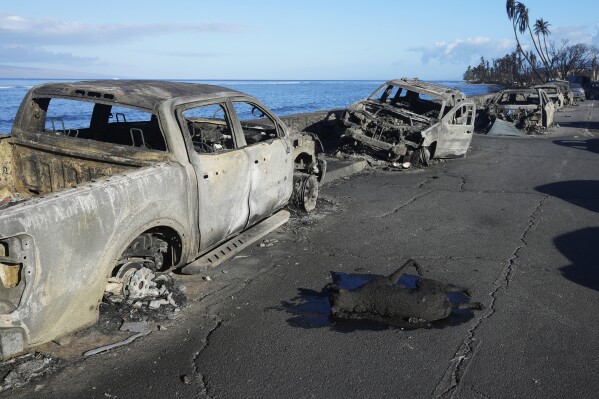 EDS NOTE: GRAPHIC CONTENT - The carcass of a dog lies next to burned-out vehicles on Front Street in Lahaina, Hawaii on Friday, Aug. 11, 2023. (AP Photo/Rick Bowmer)