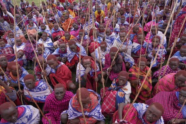 Children of the Maasai tribe gather around during the Enkipaata ceremony, a Maasai male rite of passage, specifically the initiation of boys, marking the transition from childhood to becoming a moran (warrior) in Olaimutiai, Narok County, Kenya Thursday, April 24, 2024. (AP Photo/Brian Inganga)