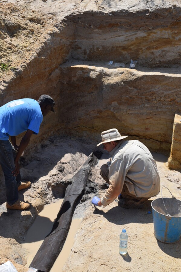 In this photo provided by researchers, an excavation team uncovers a wooden structure found on a riverbed near a waterfall in Zambia in 2019. The pair of crossed logs may be the oldest evidence of early humans building with wood, nearly half a million years old, according to a study published Wednesday, Sept. 19, 2023 in the journal Nature. (Larry Barham/University of Liverpool via AP)