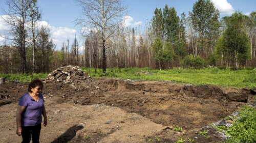 Carrol Johnston passes an indentation where her home stood before a May wildfire destroyed it in the East Prairie Metis Settlement, Alberta, on Tuesday, July 4, 2023. Johnston, who has been living in a nearby town, is awaiting a modular home so she can return to the land. (AP Photo/Noah Berger)