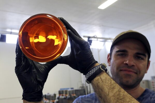 
              In this April 24, 2018 photo, Julian Cabrera, factory manager at New Earth Biosciences, holds up a large glass beaker to the light containing thick, golden-colored, fully-refined CBD oil in Salem, Ore. Applications for state licenses to grow hemp, marijuana’s non-intoxicating cousin, have increased more than twentyfold since 2015 and Oregon now ranks No. 2 behind Colorado among the 19 states with hemp cultivation. (AP Photo/Don Ryan)
            