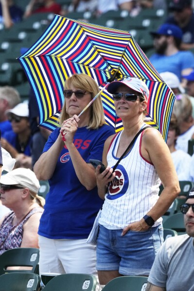 Chicago Cubs Umbrella