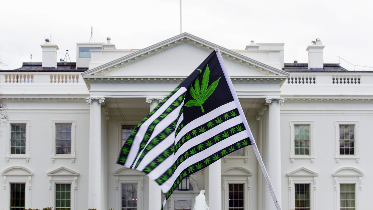 Байдън помилва хиляди осъдени за обвинения в марихуана във федералните земи и във Вашингтон