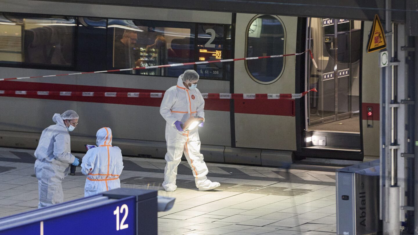 A stabbing at Hamburg's central train station causes multiple injuries. A woman is arrested