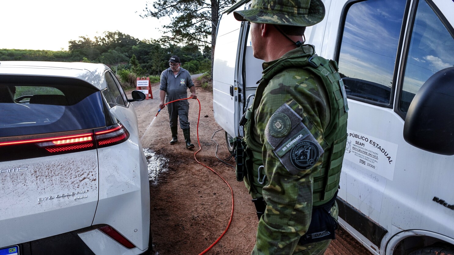 Mexico, Chile and Uruguay halt poultry imports from Brazil after bird flu outbreak